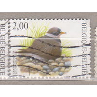 Птицы Фауна Бельгия 2002 год лот 1072