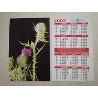 Карманный календарик. Цветок. Мингорсоюзпечать. 2002 год
