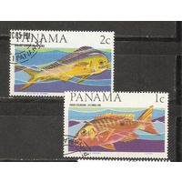 КГ Панама Рыбы