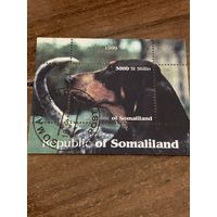 Сомали 1999. Породы собак. Блок