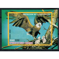 Экваториальная Гвинея - 1976г. - Североамериканские птицы - полная серия, MNH [Mi bl. 251] - 1 блок