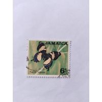 Ямайка  1964 бабочка