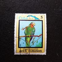 Марка Куба 1983 год Птицы