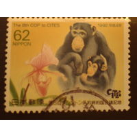 Япония 1992 обезьяна