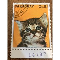Парагвай 1987. Кошки. Марка из серии