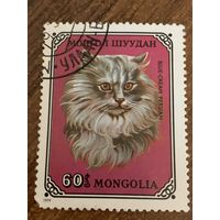 Монголия 1979. Домашние кошки. Blue-cream Persian. Марка из серии