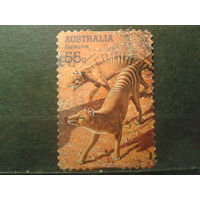 Австралия 2008 Ископаемые волки, самоклейки