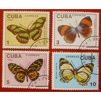 Куба 1989. Бабочки.