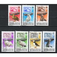Полярные исследования и животные Монголия 1981 год серия из 7 марок