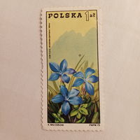 Польша 1975. Флора. Цветы