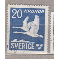 Птицы Фауна Швеция 1942 год  лот 1077
