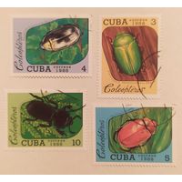 Куба 1988, жуки