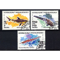 1993 Мадагаскар. Акулы