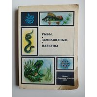 Рыбы, земнаводныя, паўзуны