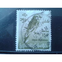 Бирма 1964 Птица