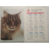Карманный календарик. Котик.1994 год