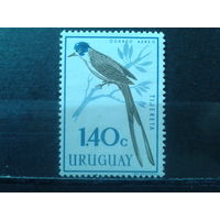 Уругвай 1962 Уховертка** Михель-2,5 евро