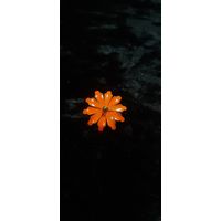 Миниатюрная брошь-цветок, эмаль СССР. В коллекцию не с рубля