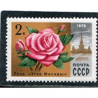 СССР 1978. Цветы. Роза