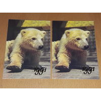 Календарик 1991 Фауна. Белый медвежонок