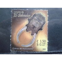 Сальвадор, 2006. Череп мастодонта