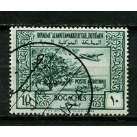 Йеменское Мутаваккилийское королевство - 1951 - Кофейное дерево и самолет 10В - [Mi.134] - 1 марка. Гашеная с оригинальным клеем.  (Лот 127BQ)