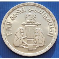 Египет. 1 фунт 1981 года  KM#532   "FAO"  Тираж: 50.000 шт