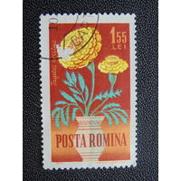 Румыния 1964 г. Цветы.