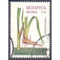 Беларусь 1996 флора лекарственные растения аир