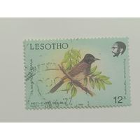 Лесото 1988. Птицы