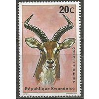 Руанда. Антилопа. 1975г. Mi#673.