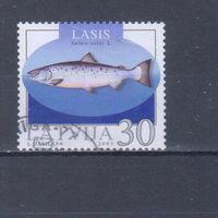 [2429] Латвия 2003. Фауна.Рыбы.Лосось. Гашеная марка.