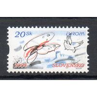 Европа Отдых Словакия 2004 год серия из 1 марки