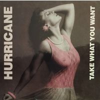 HURRICANE /Take What You Want/1985, EMI, LP, Holland