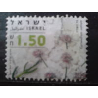 Израиль 2006 Стандарт, цветы