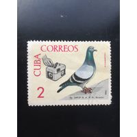 Куба 1966 год. Голубь