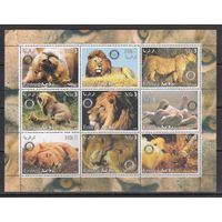 Львы Дикие кошки Животные Фауна 2003 Эритрея MNH полная серия 9 м зуб