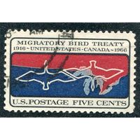 США. 50 лет договора США с Канадой по охране перелетных птиц