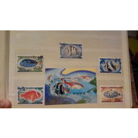 Рыбы, фауна, марки и блок, КНДР, 1991