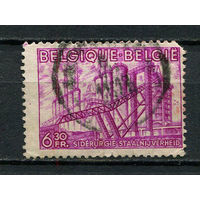 Бельгия - 1948/1949 - Металлургический завод 6,30Fr - [Mi.815] - 1 марка. Гашеная.  (Лот 7Ds)