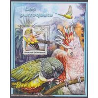 2017 Центральноафриканская Республика 6759/B1572  Птицы - Попугаи 16,00 евро