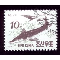 1 марка 1990 год КНДР Рыба 3154