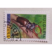 Болгария 1993, жук-олень