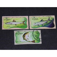 Куба 1971 г. Морская фауна.