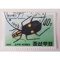 Корея 1990, жук