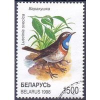 Беларусь фауна птицы