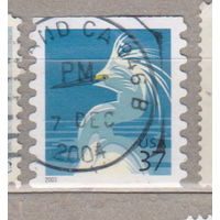 Птицы Фауна США  2003 год лот 1077