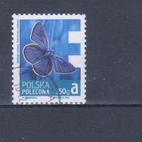 [944] Польша 2013. Фауна.Бабочка. Гашеная марка.