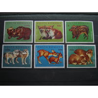 Марки - фауна, звери, Румыния, волки, лисы, кабаны, медведи, 6 шт, 1972 г.
