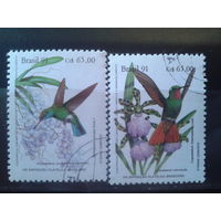 Бразилия 1991 Цветы и колибри